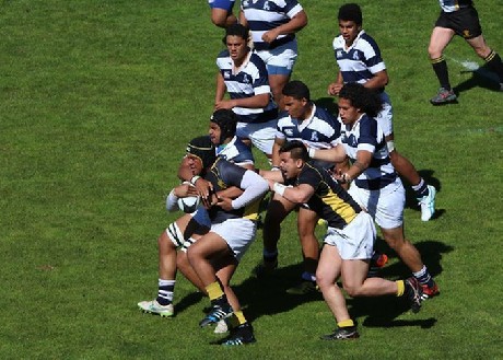 Convincing wins for Wellington Pride and U19s; U18s miss out to Auckland